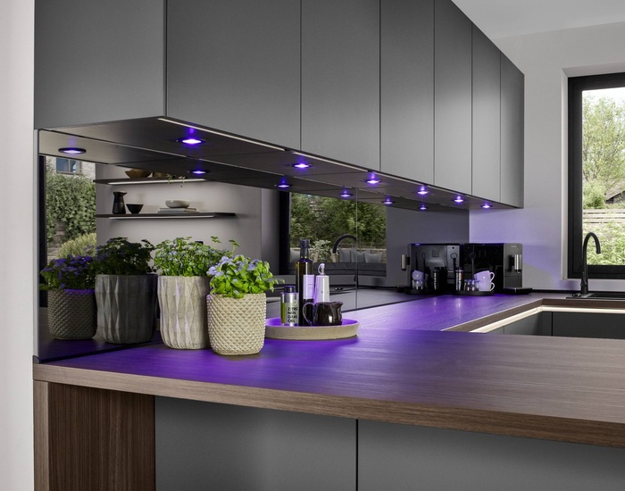 30787_24_Senso_491_D